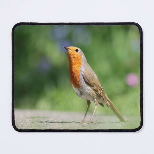 Item preview, Robin with flowers designed and sold by GreyFeatherPhot.