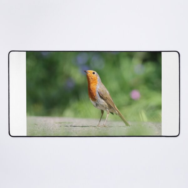 Item preview, Robin with flowers designed and sold by GreyFeatherPhot.