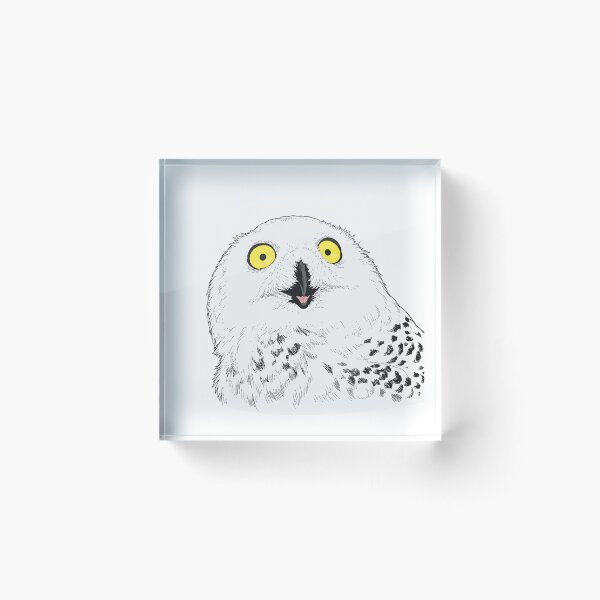 Item preview, Shocked Owl designed and sold by gillijam4.