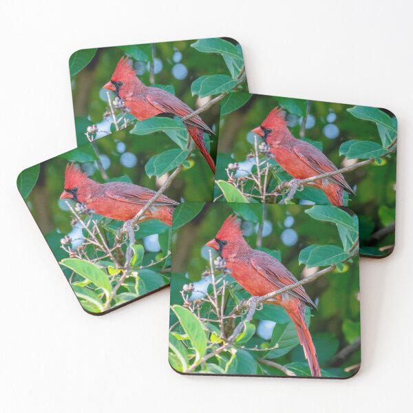 Item preview, The Beautiful Male Cardinal  designed and sold by Lanis Rossi.