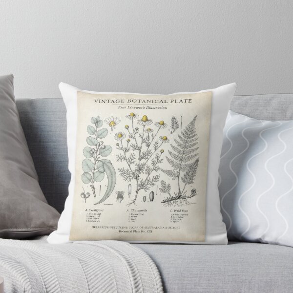 Item preview, Vintage Botanical Herbarium Plate Illustration designed and sold by Rahat3344.