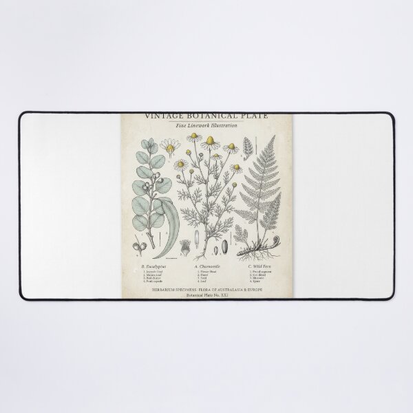 Item preview, Vintage Botanical Herbarium Plate Illustration designed and sold by Rahat3344.