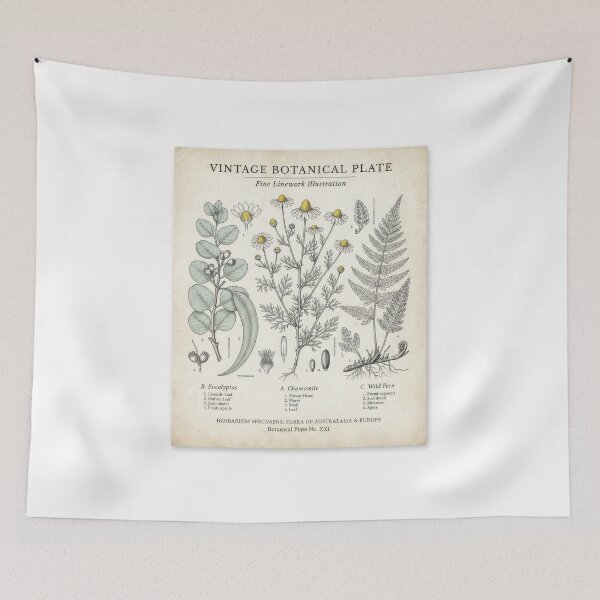 Item preview, Vintage Botanical Herbarium Plate Illustration designed and sold by Rahat3344.