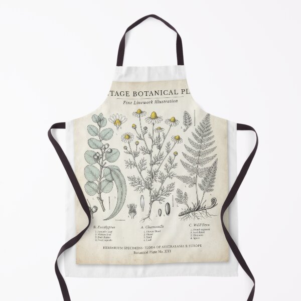 Item preview, Vintage Botanical Herbarium Plate Illustration designed and sold by Rahat3344.