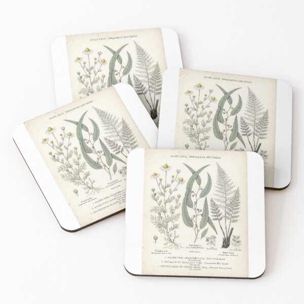 Item preview, Vintage Botanical Herbarium Specimens Plate Art   designed and sold by Rahat3344.