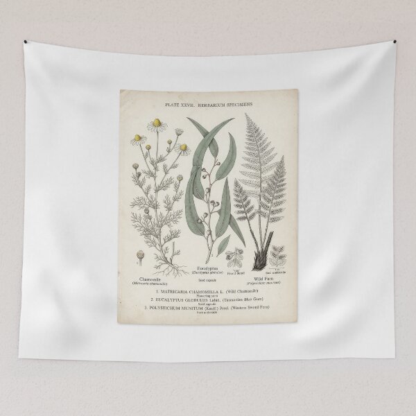 Item preview, Vintage Botanical Herbarium Specimens Plate Art   designed and sold by Rahat3344.