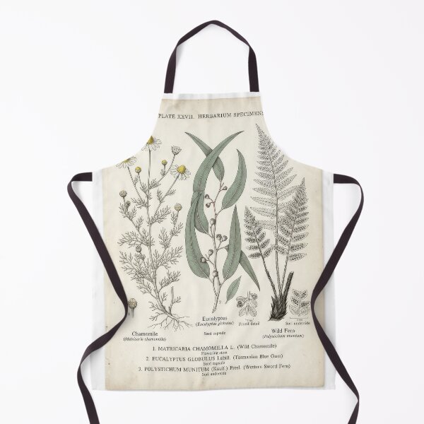 Item preview, Vintage Botanical Herbarium Specimens Plate Art designed and sold by Rahat3344.
