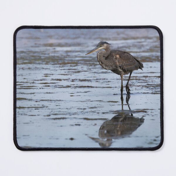 Item preview, Blue Heron in a Pond designed and sold by CoypuCoyote.
