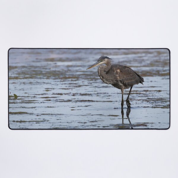 Item preview, Blue Heron in a Pond designed and sold by CoypuCoyote.