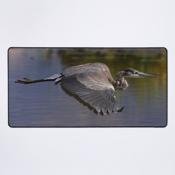 Item preview, Flying Blue Heron designed and sold by CoypuCoyote.