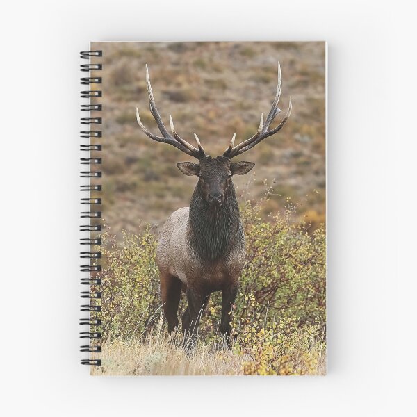 Item preview, Big Five Elk designed and sold by CoypuCoyote.