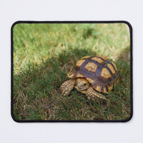 Item preview, Sulcata Tortoise designed and sold by HappyLeafHobbies.