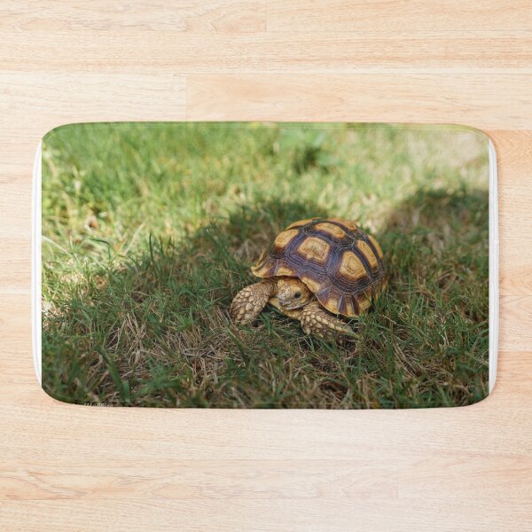 Item preview, Sulcata Tortoise designed and sold by HappyLeafHobbies.