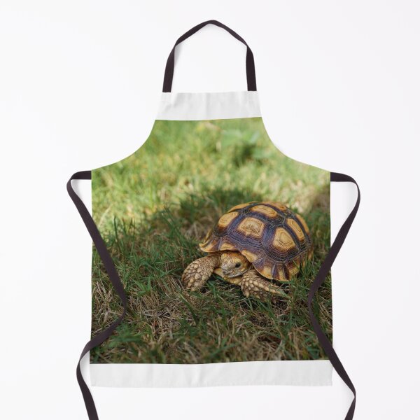 Item preview, Sulcata Tortoise designed and sold by HappyLeafHobbies.