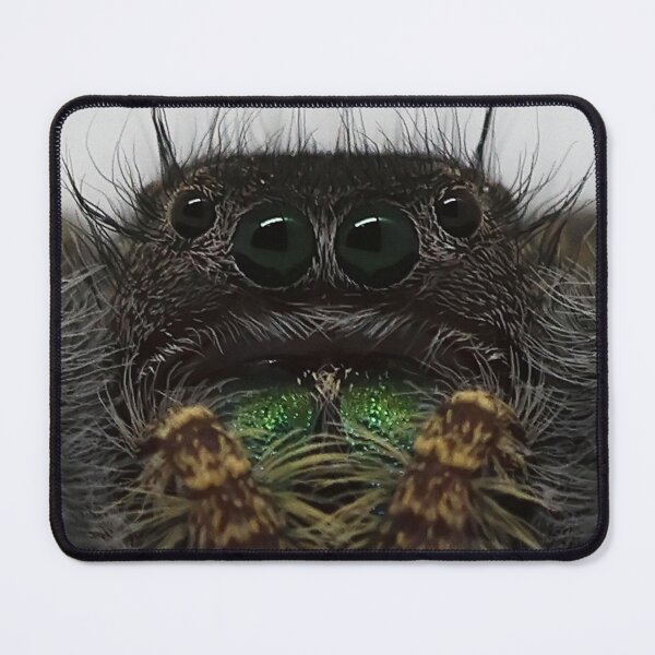 Item preview, Jumping Spider designed and sold by CoypuCoyote.