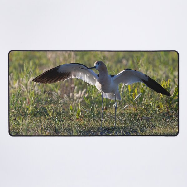 Item preview, American Avocet designed and sold by CoypuCoyote.