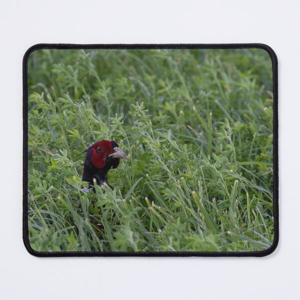 Item preview, Pheasant designed and sold by CoypuCoyote.