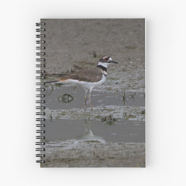Item preview, Killdeer designed and sold by CoypuCoyote.