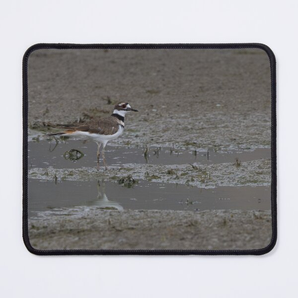 Item preview, Killdeer designed and sold by CoypuCoyote.