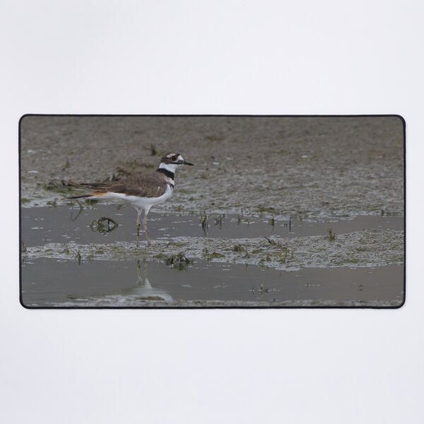 Item preview, Killdeer designed and sold by CoypuCoyote.