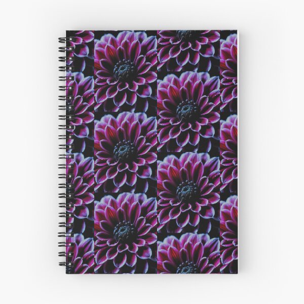 Item preview, Candied Raspberry: Black Dahlia Flower - Dramatic Botanical designed and sold by therealbooty.