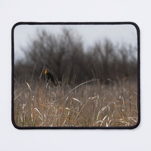 Item preview, Yellow Headed Black Bird designed and sold by CoypuCoyote.