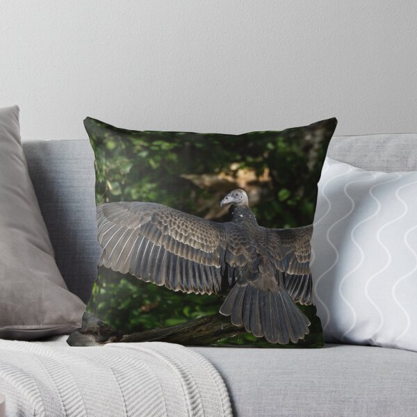 Item preview, Young Turkey Vulture drying it's wings 9-13-2026   designed and sold by Thomasyoung.