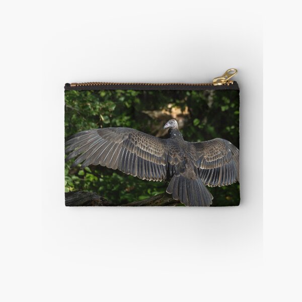 Item preview, Young Turkey Vulture drying it's wings 9-13-2026   designed and sold by Thomasyoung.