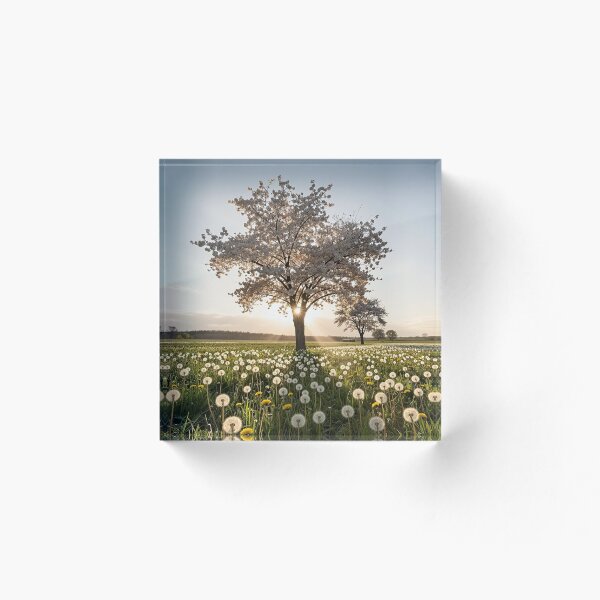 Item preview, Soft Anadolu Ajansı bOrchid Floral Illustration. designed and sold by vccsgsge.