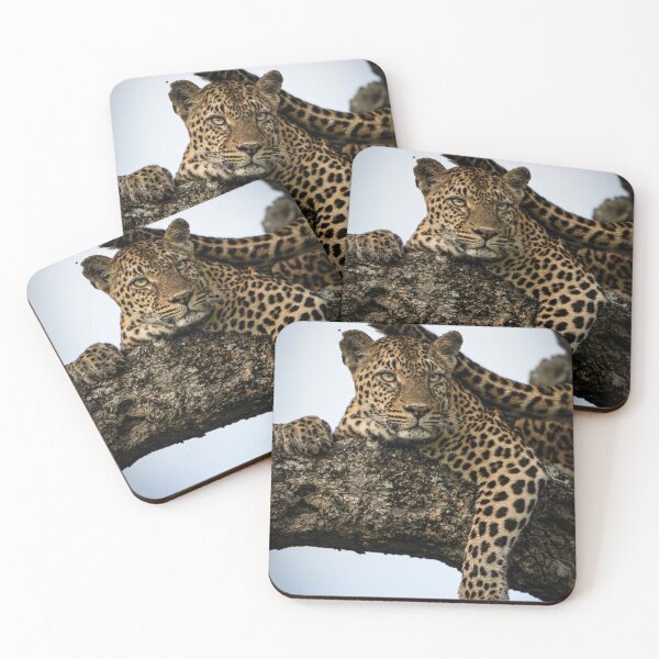 Item preview, Premium Android eSteak Dinner designed and sold by alekcarz.