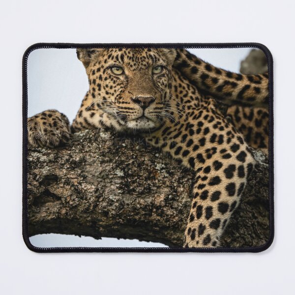 Item preview, Premium Android eSteak Dinner designed and sold by alekcarz.