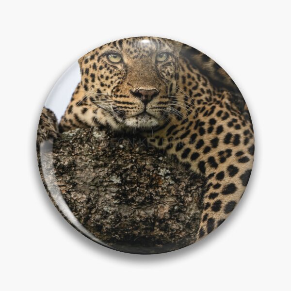 Item preview, Premium Android eSteak Dinner designed and sold by alekcarz.