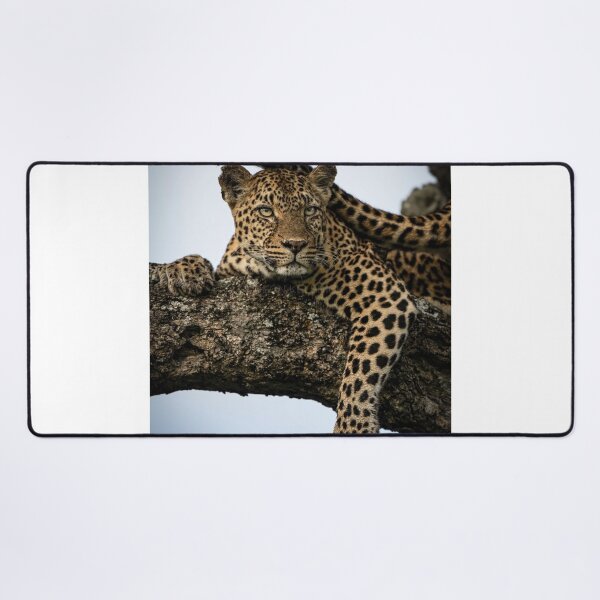 Item preview, Premium Android eSteak Dinner designed and sold by alekcarz.
