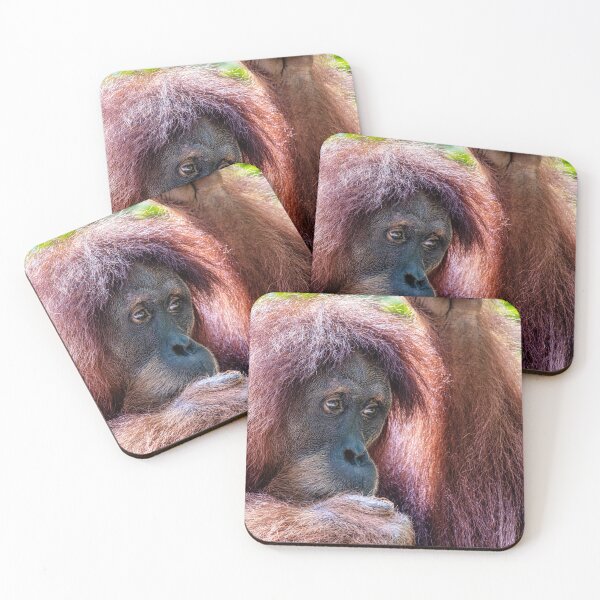 Item preview, Orang Utan 04 designed and sold by photograham.