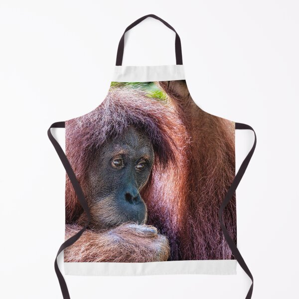 Item preview, Orang Utan 04 designed and sold by photograham.