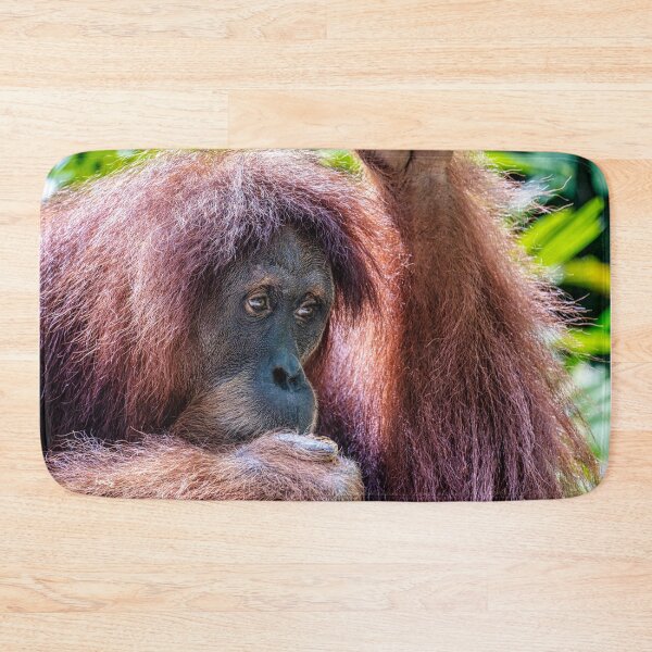 Item preview, Orang Utan 04 designed and sold by photograham.