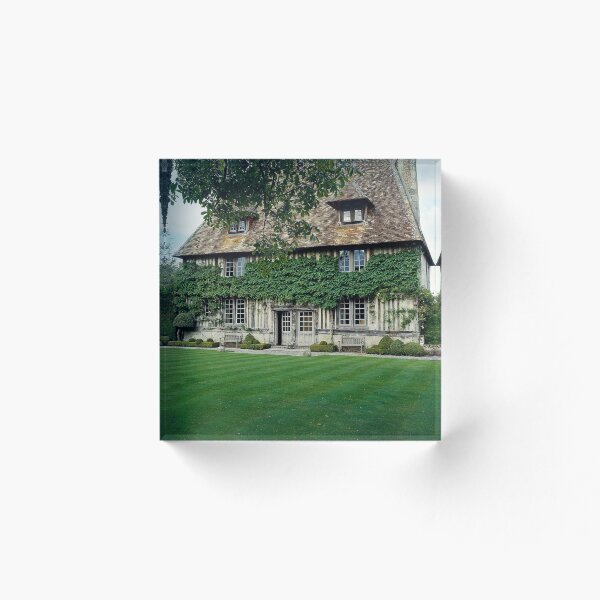 Item preview, Graceful American Standard Heating And Air Conditioning Orchid Botanical Artwork. designed and sold by vccsgsge.