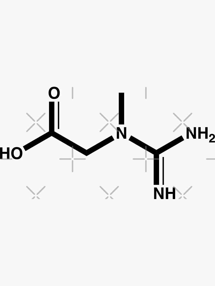 "Creatine Linear Structure Black " Sticker for Sale by thebangs