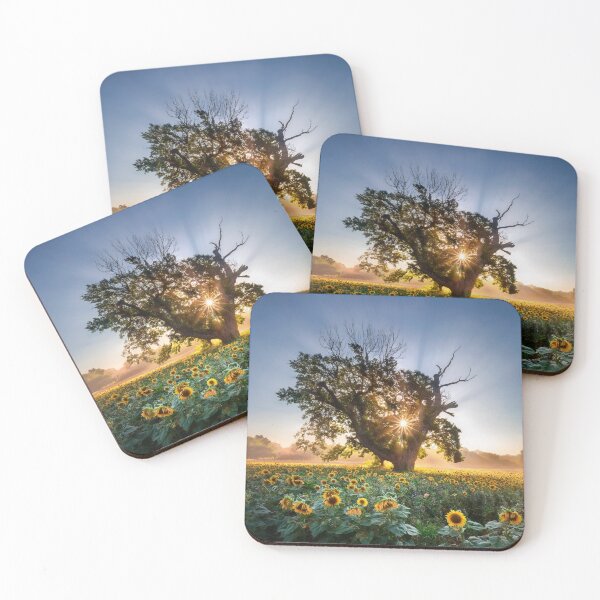Item preview, Delicate Anadolu Sigorta bOrchid Garden Beauty. designed and sold by vccsgsge.