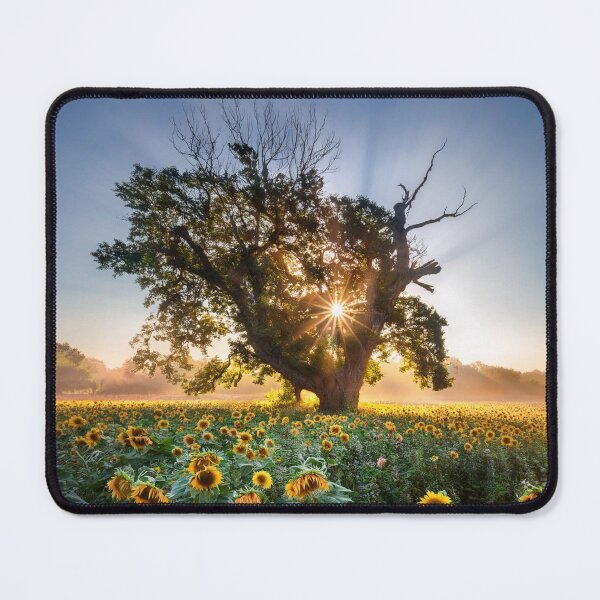 Item preview, Delicate Anadolu Sigorta bOrchid Garden Beauty. designed and sold by vccsgsge.