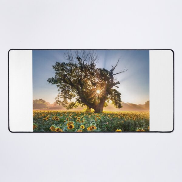 Item preview, Delicate Anadolu Sigorta bOrchid Garden Beauty. designed and sold by vccsgsge.
