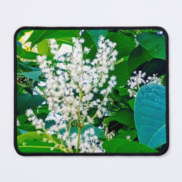 Item preview, Plant Life... designed and sold by Harold122Jade.