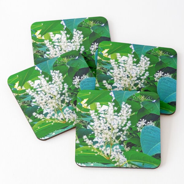 Item preview, Plant Life... designed and sold by Harold122Jade.