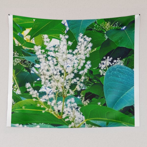 Item preview, Plant Life... designed and sold by Harold122Jade.