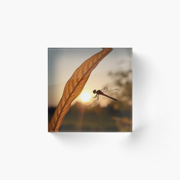 Item preview, Orchid  Amway cFloral Decorative Artwork. designed and sold by vccsgsge.