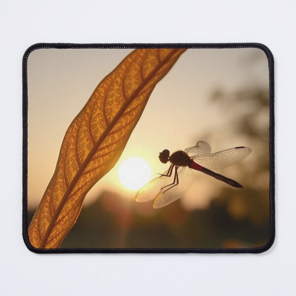 Item preview, Orchid Amway cFloral Decorative Artwork. designed and sold by vccsgsge.