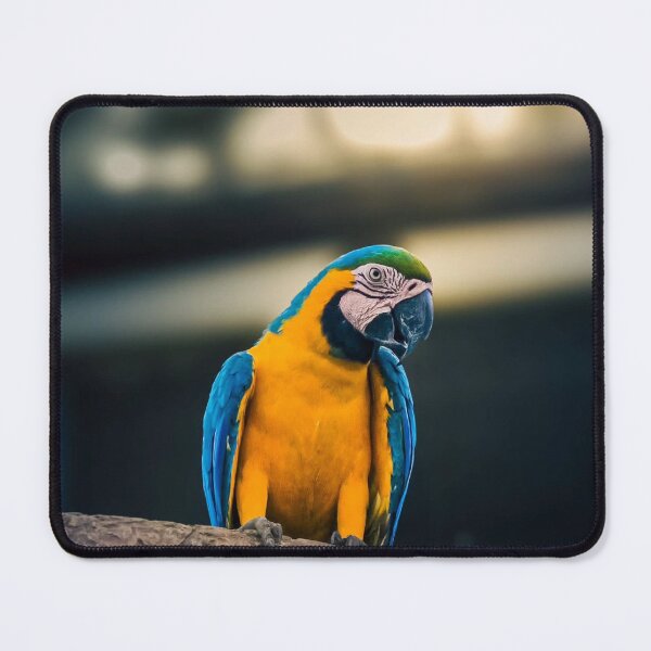 Item preview, Family And1 Friendly Restaurant designed and sold by alekcarz.
