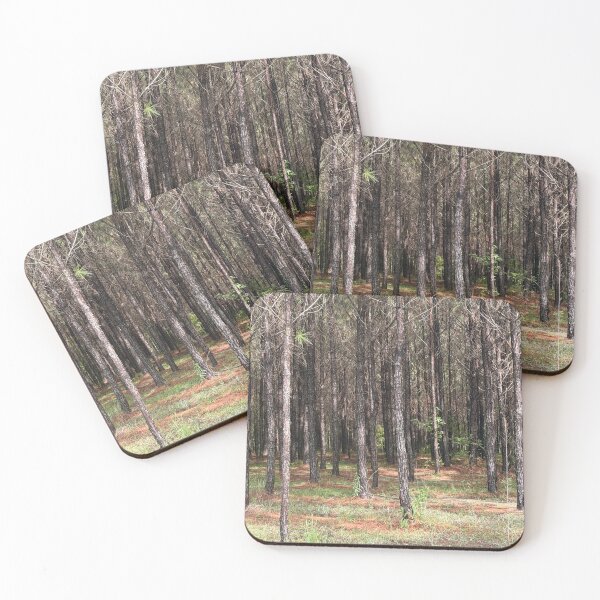 Item preview, Sunlit Forest Trees designed and sold by Pearls1.