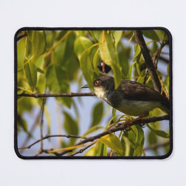 Item preview, Elegant Anglo American cModernist Geometry designed and sold by leahpau.