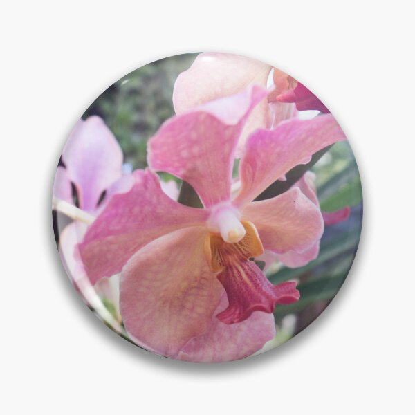 Item preview, Vanda alliance orchids designed and sold by ROSE ANN BANILAR.